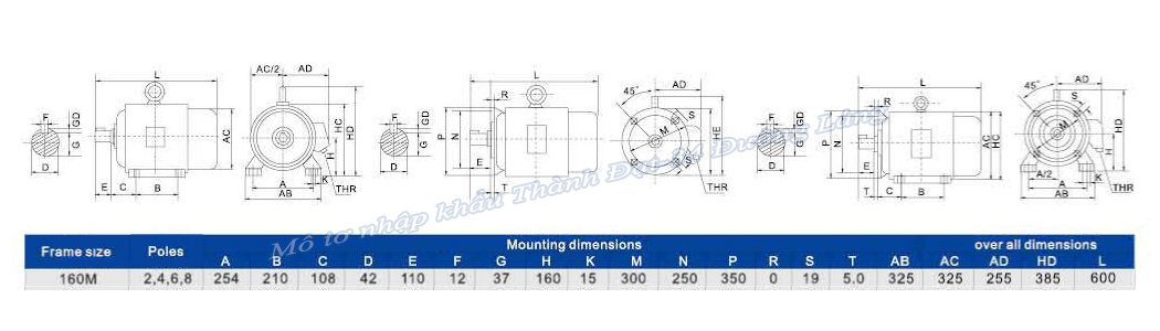 Mô tơ điện 3 pha 11 kW VICKY VY2-132M1-4 IE2