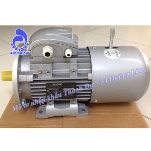 Động cơ điện Motive