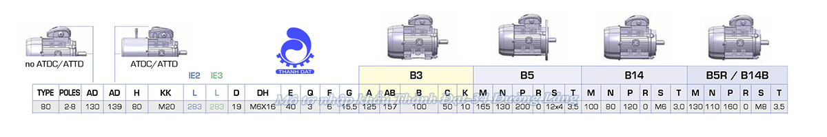Động cơ điện 3 pha 0.75 kW MOTIVE ATDC 80A-2