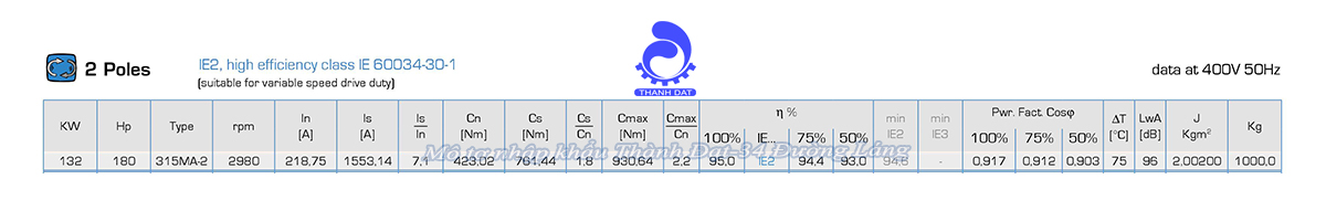 Động cơ điện 3 pha 132 kW MOTIVE ATDC 315MA-2