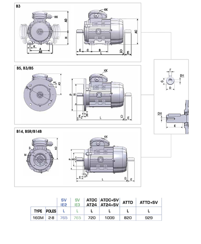 Động cơ điện 3 pha 15 kW MOTIVE ATDC 160MB-2