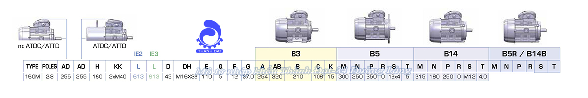 Động cơ điện 3 pha 15 kW MOTIVE ATDC 160MB-2