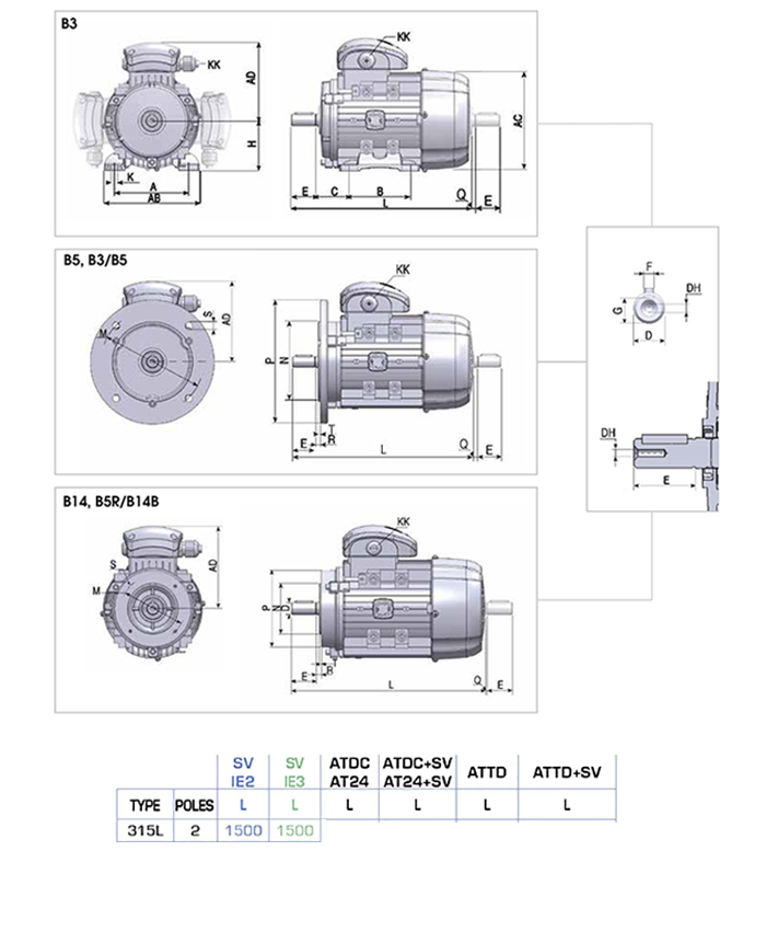 Động cơ điện 3 pha 160 kW MOTIVE ATDC 315LA-2