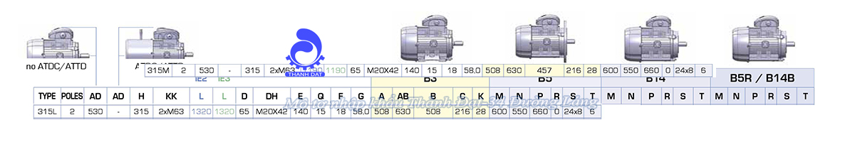 Động cơ điện 3 pha 160 kW MOTIVE ATDC 315LA-2