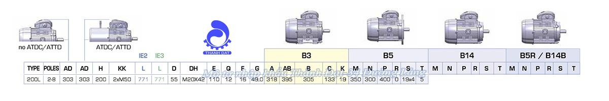 Động cơ điện 3 pha 30 kW MOTIVE ATDC 200LA-2