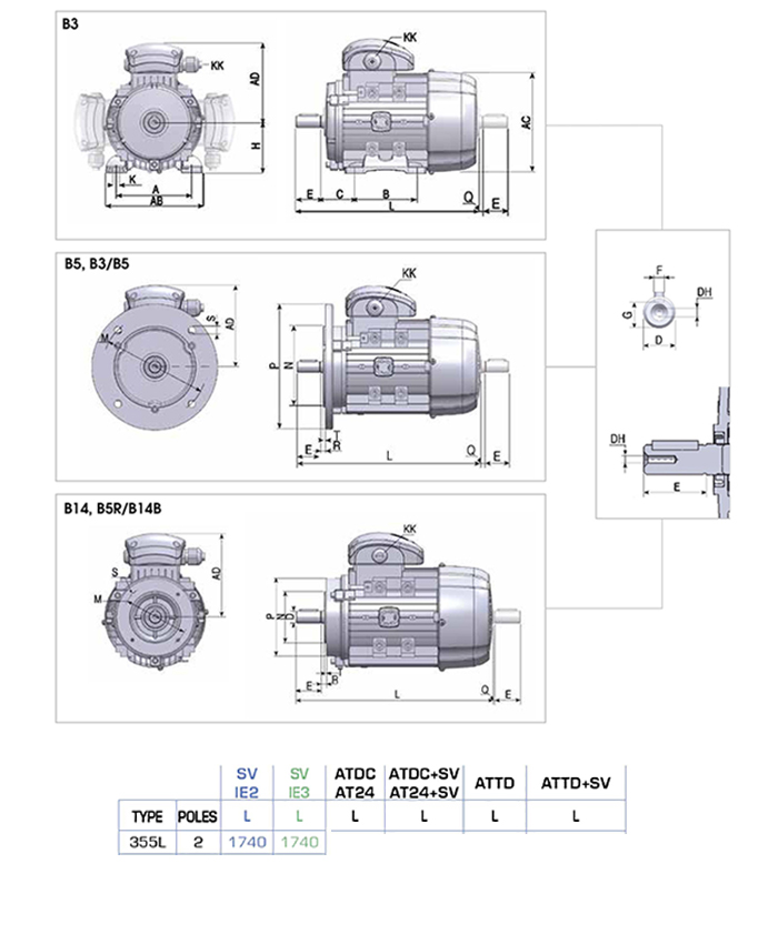 Động cơ điện 3 pha 315 kW MOTIVE ATDC 355L-2