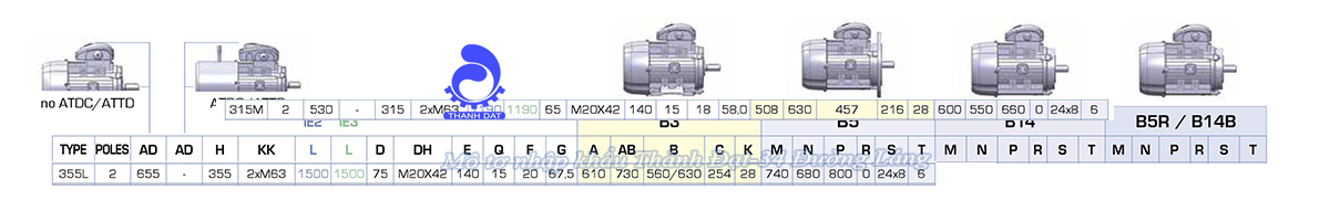 Động cơ điện 3 pha 315 kW MOTIVE ATDC 355L-2
