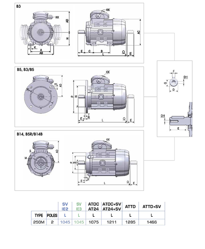 Động cơ điện 3 pha 55 kW MOTIVE ATDC 250M-2 